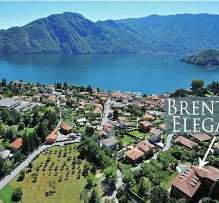 Brentano Elegante *
